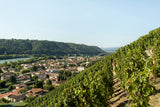 Domaine Gerin Northern Rhône 6-pack Pre-order