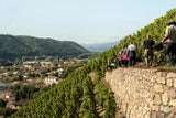 Domaine Gerin Northern Rhône 6-pack Pre-order