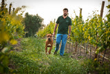 Luís Louro Alentejo 6-pack