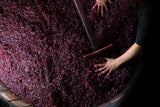 6x Chiara Condello Predappio Sangiovese 2023