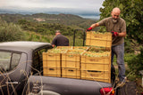 Cal Batllet Priorat Discovery 6-pack