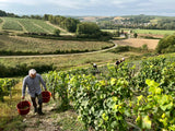 6x Famille Grossot Chablis 2023