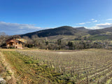 Domaine de la Sarazinière Mâcon 6-pack