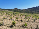 Domaine Boucabeille 6-pack