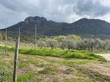 Nomades Campania Whites 6-pack
