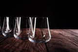 Gabriel-Glas DrinkArt Glasses (Set of 6)