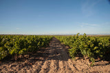 La Mateo Rioja 6-pack