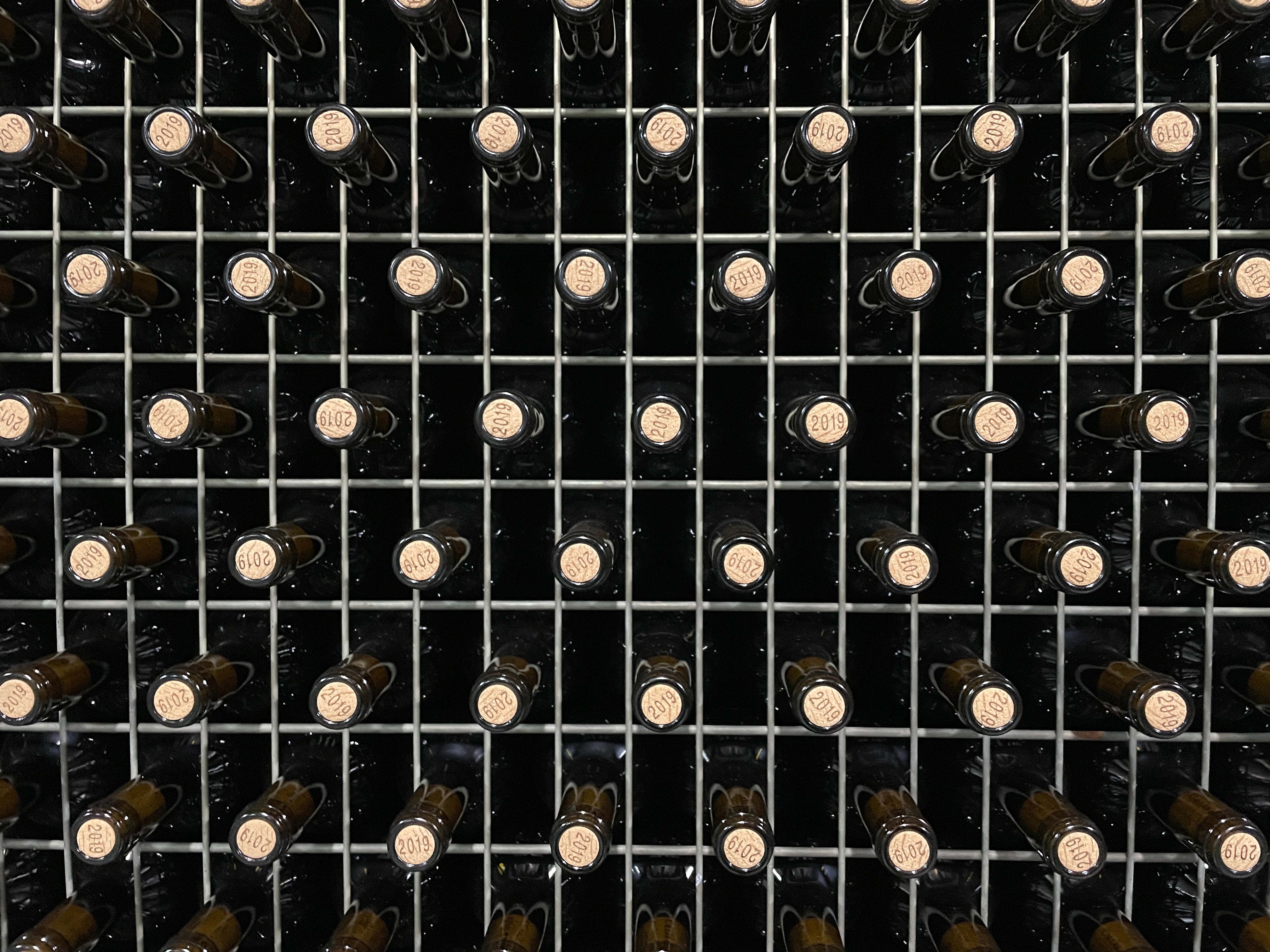 Our Guide To Storing Red Wine at Home WineSpark