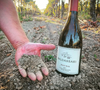 Baldassari Sonoma Six Pre-order