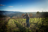 Aba Solleira Ribeira Sacra 6-pack