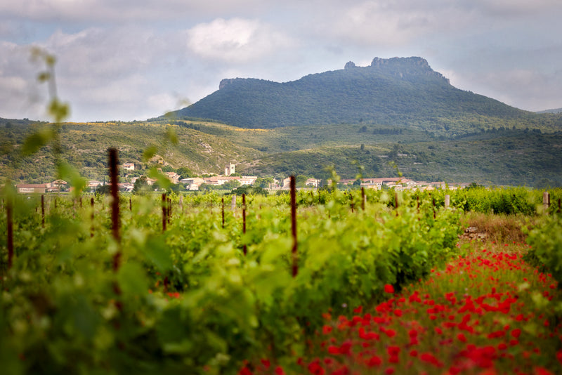 6x Virgile Rouge Languedoc Saint-Saturnin 2021 Pre-order