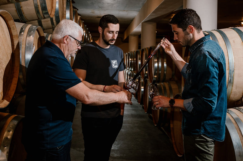 Domaine Gerin Northern Rhône 6-pack Pre-order