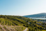Domaine Gerin Northern Rhône 6-pack Pre-order