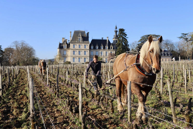 6x Domaine Jean Fournier Marsannay Cuvée Saint-Urbain 2022