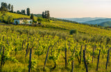 Federico Cerelli Tuscan Classics 6-pack