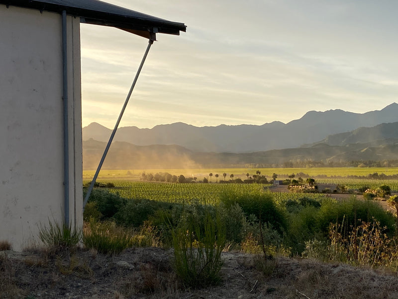 6x Meltwater Marlborough Sauvignon Blanc 2023