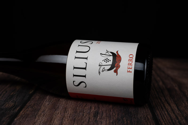 Silius Ferro Godello 2022