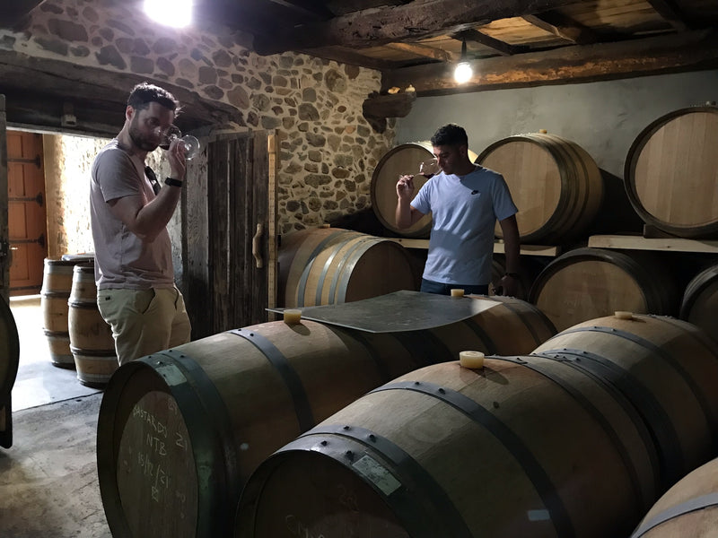 César Márquez Bierzo 2021 6-pack