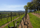 Baldassari Sonoma Six Pre-order